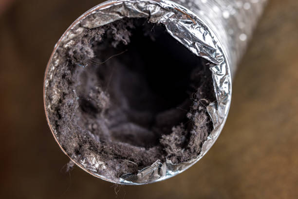 Best Affordable Air Duct Cleaning  in North Redington Beach, FL